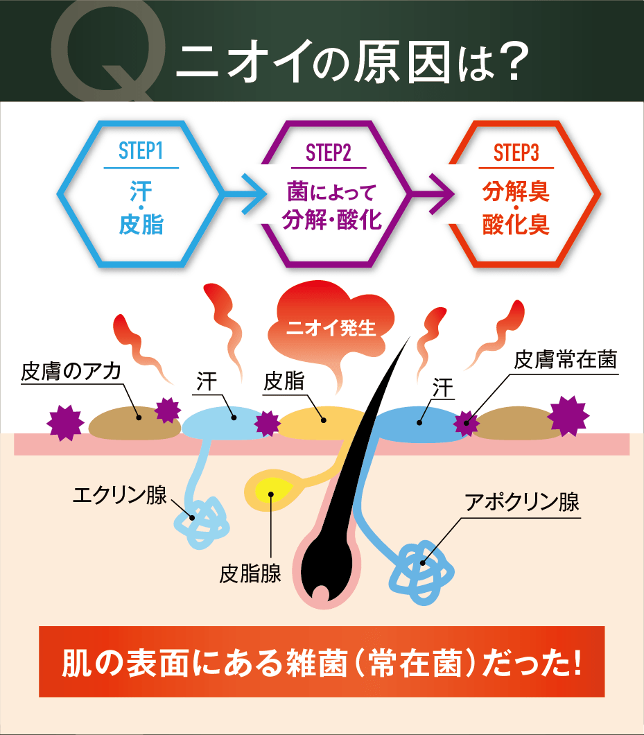 ニオイの原因は？